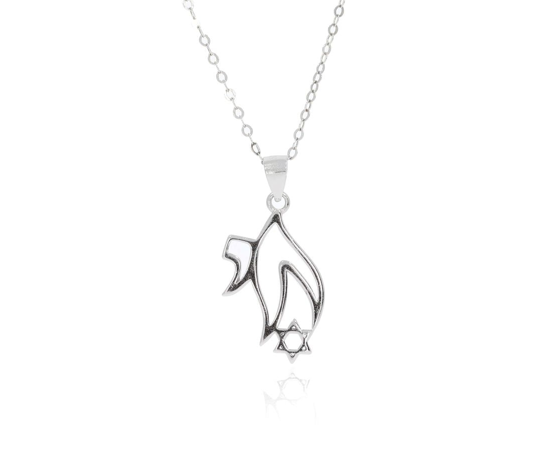 Bluenoemi Chai Necklace with the Star of David sterling silver pendant | Jewish symbol