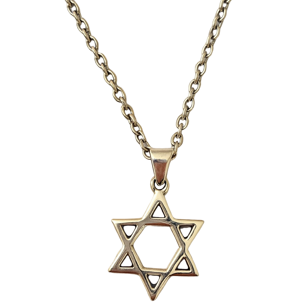 Bluenoemi Necklaces Silver Necklace Star of David for Man Sterling Silver Pendant