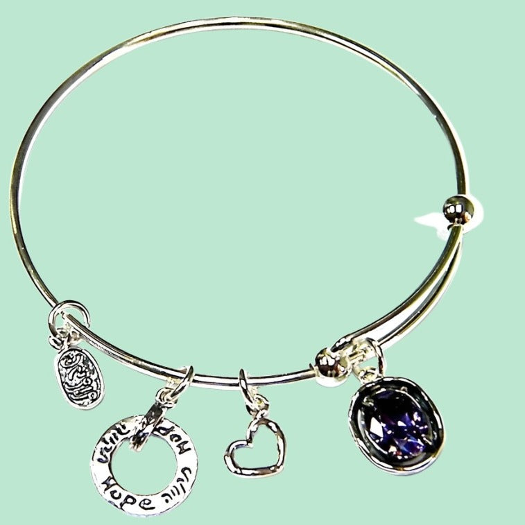 Bluenoemi Bracelets Charms Bracelet Family trust / Silver Hope Charms Bracelet Sterling Silver 925 Bluenoemi  Jewelry Amethyst Zircon