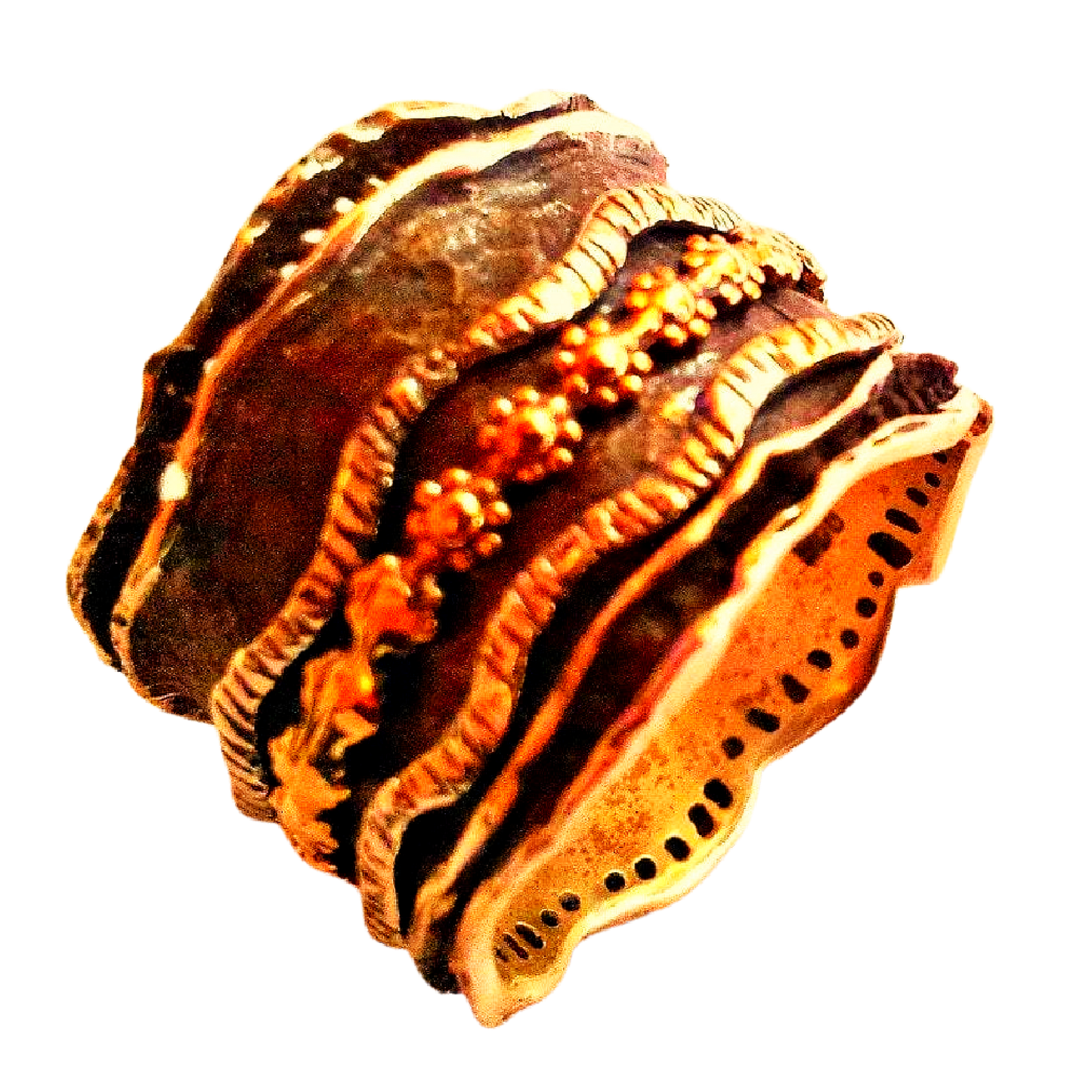 Israeli Jewelry Oxidized Silver and Gold Spinner Ring, Floral Adorable Spinner ring for woman. - Bluenoemi