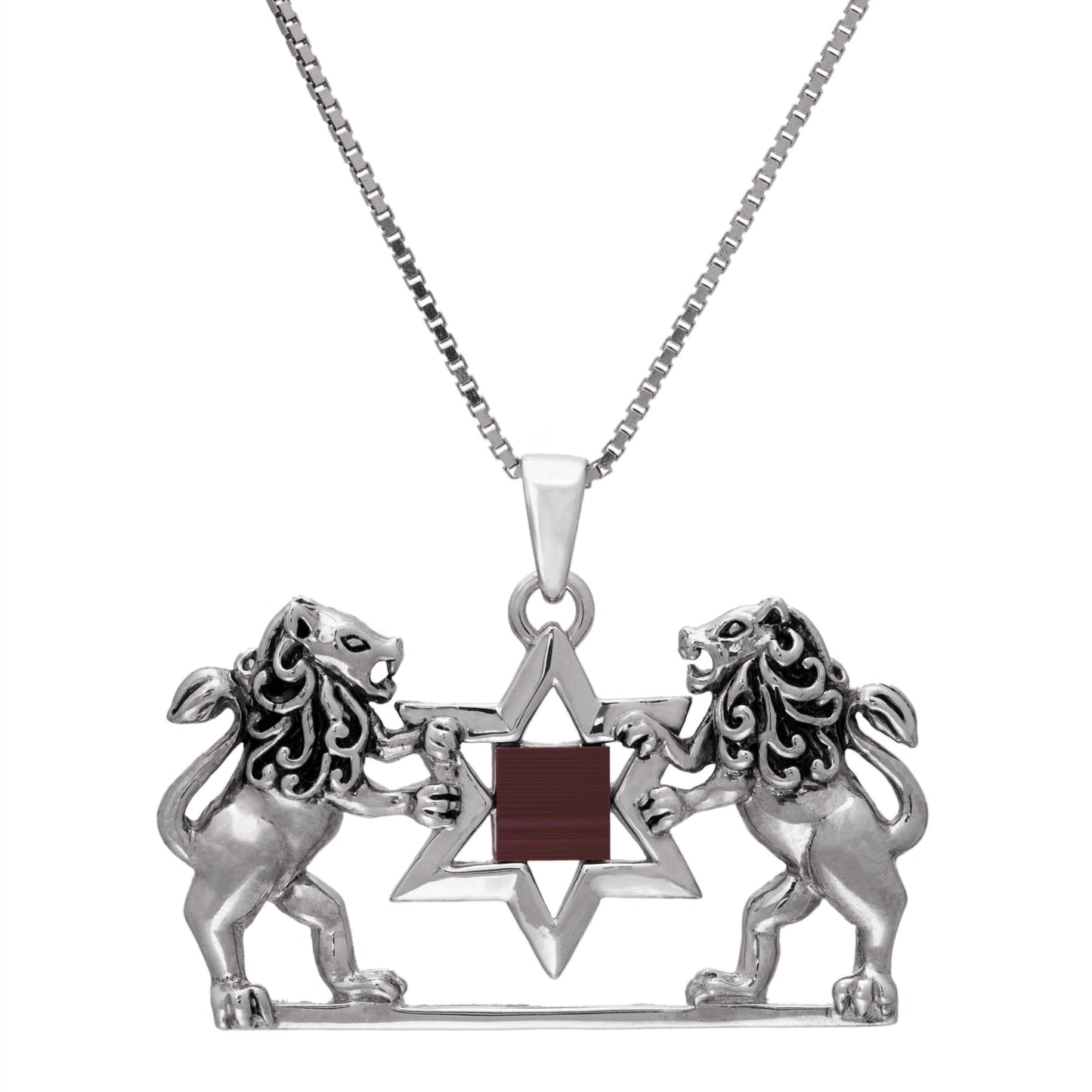Bluenoemi Jewelry Necklaces Nano Sim Old Bible Silver Lion of Judah Pendant for woman
