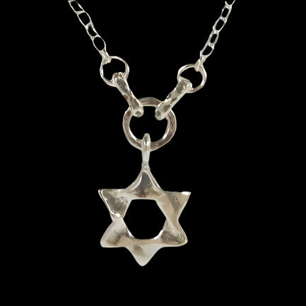 Bluenoemi Jewelry Necklaces Star of David Necklace with a pomegranate, Sterling silver necklace