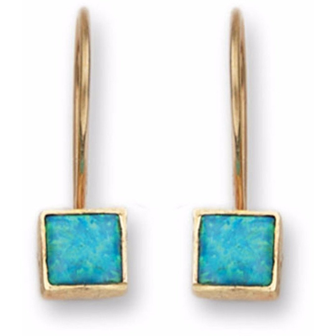 Bluenoemi Jewelry Earrings Default Title / gold Classic Gold Blue Opal Earrings ,  dangle earrings  9K Gold / classic earrings