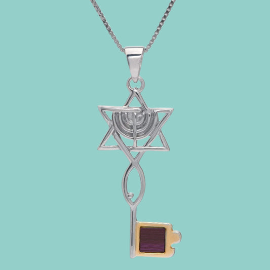 Bluenoemi Jewelry Necklaces Bluenoemi Christian Nano Sim New Testament Silver and Gold Key Pendant