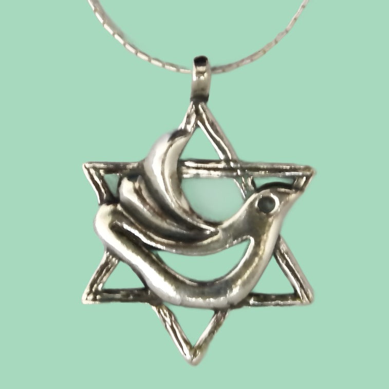 Bluenoemi Jewelry Necklaces & Pendants 45 / silver Star of David Dove Necklace , Sterling silver necklace, Jerusalem Jewelry from Bluenoemi