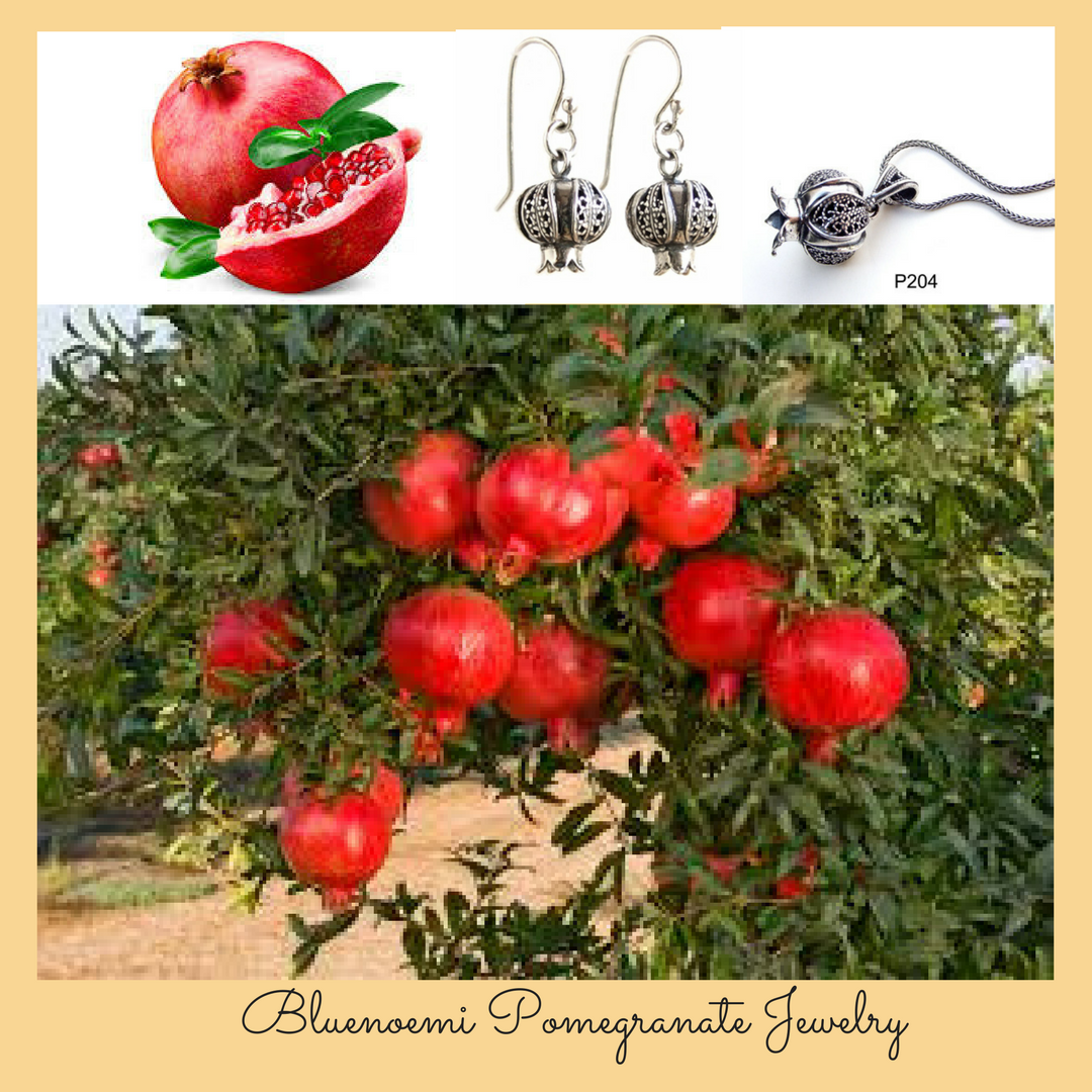 Bluenoemi Jewelry Necklaces & Pendants 45cm / silver Sterling silver necklace, gift for woman, Christmas gift necklace, Jewish gift pomegranate pendant