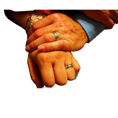 engagement rings for women Israeli Spinner Rings - Bluenoemi